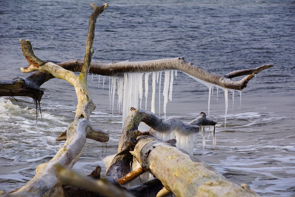 20120129-Zingst-DSC00873-RL.jpg