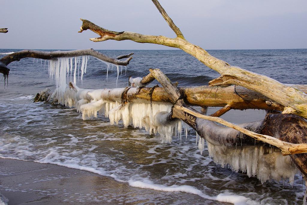 20120129-Zingst-DSC00876-RL.jpg