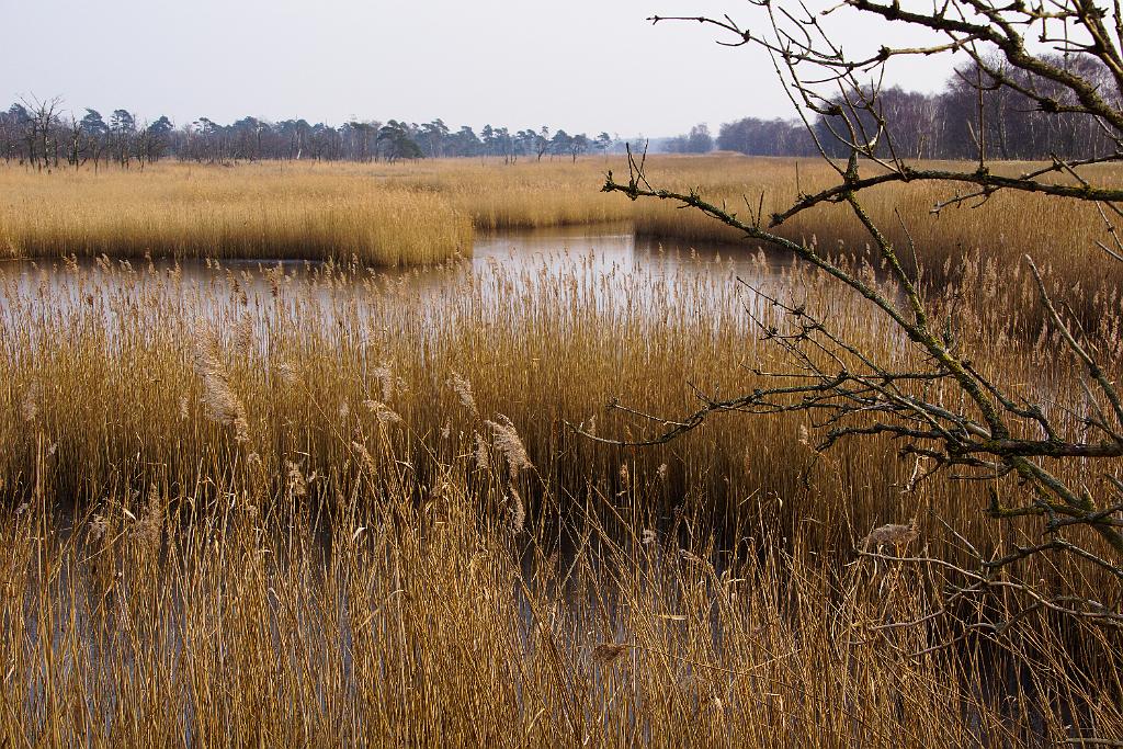 20120129-Zingst-DSC00880-RL.jpg