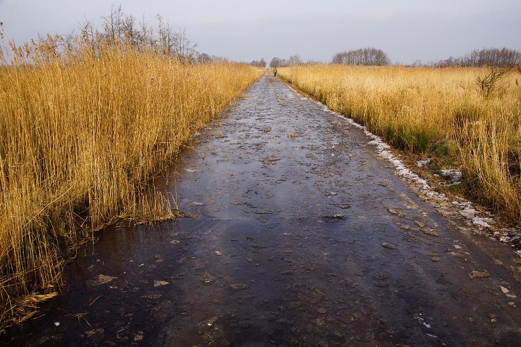 20120129-Zingst-DSC00881-RL.jpg