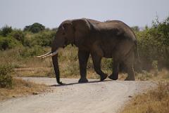 2008-kenia-0311