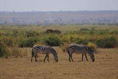 2008-kenia-0316