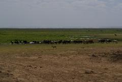 2008-kenia-0317