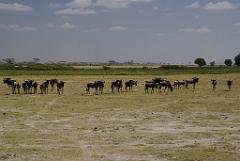 2008-kenia-0321