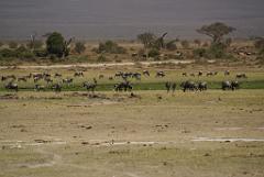 2008-kenia-0322