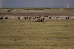 2008-kenia-0323