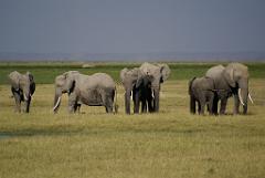 2008-kenia-0327