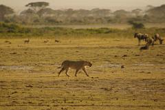 2008-kenia-0335