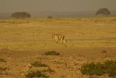 2008-kenia-0336