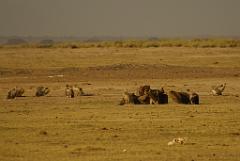 2008-kenia-0339