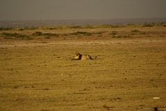 2008-kenia-0340