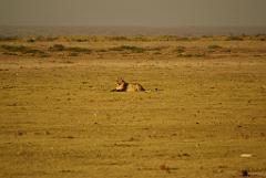 2008-kenia-0341