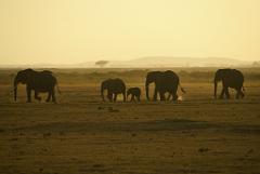 2008-kenia-0345