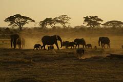 2008-kenia-0346