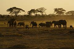 2008-kenia-0347