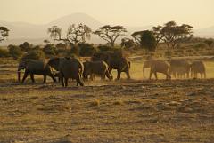 2008-kenia-0348