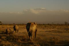 2008-kenia-0351