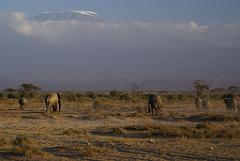 2008-kenia-0353