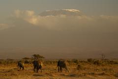 2008-kenia-0354