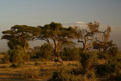 2008-kenia-0355