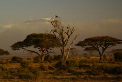 2008-kenia-0356