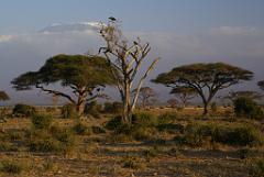 2008-kenia-0357