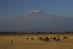 2008-kenia-0366