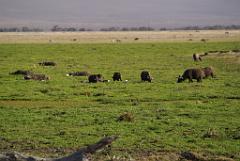 2008-kenia-0425