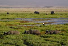 2008-kenia-0427