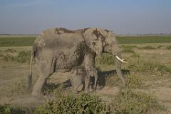 2008-kenia-0441