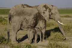 2008-kenia-0442