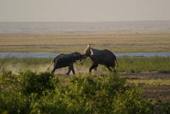 2008-kenia-0459