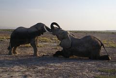 2008-kenia-0465