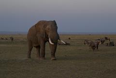 2008-kenia-0472