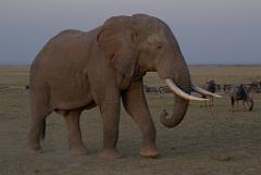 2008-kenia-0473