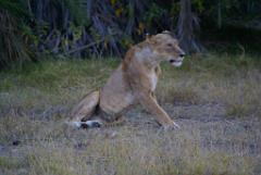 2008-kenia-0481