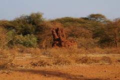 2008-kenia-0500