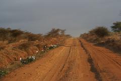 2008-kenia-0501