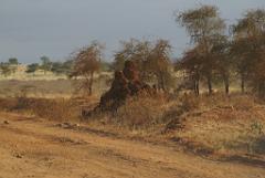 2008-kenia-0502