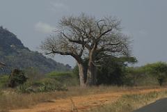 2008-kenia-0525