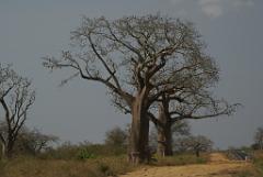 2008-kenia-0529