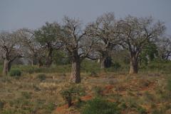 2008-kenia-0531