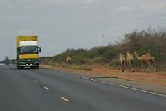 2008-kenia-0536