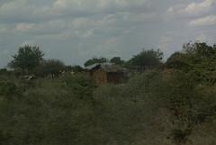 2008-kenia-0545