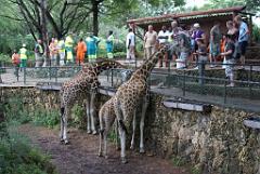 2008-kenia-0150