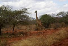 2008-kenia-0195