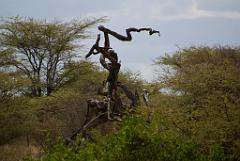 2008-kenia-0207