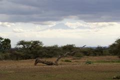 2008-kenia-0226