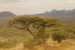 2008-kenia-0231