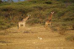 2008-kenia-0275